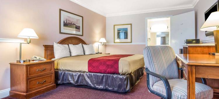 伊克诺卡斯特罗谷I-580酒店(Econo Lodge Castro Valley I-580)图片