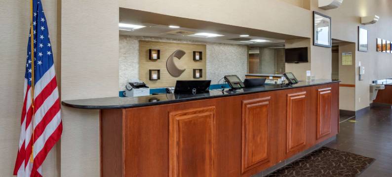 哈黑格斯敦东南的舒适套房酒店(Comfort Suites)图片