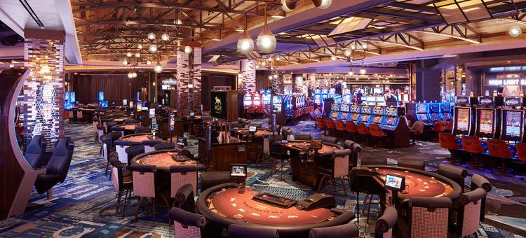 Fairfield Inn & Suites Springfield Enfield图片