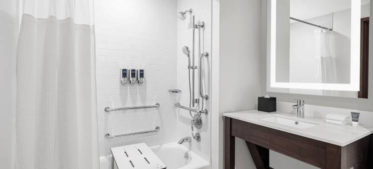 法拉盛福朋喜来登酒店(Four Points by Sheraton Flushing)图片