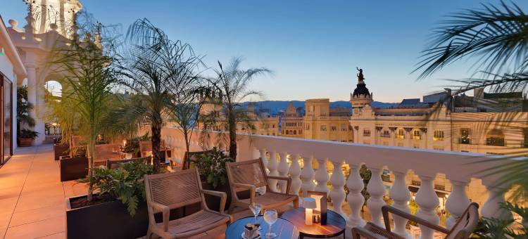 科洛梅拉宫H10酒店(H10 Palacio Colomera)图片