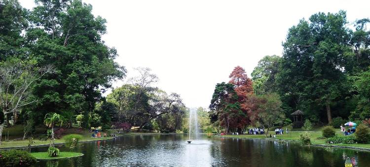 Capital O 奇帕纳斯公寓(阿加佩别墅)(Capital O Cipanas Residence (Villa Agape))图片