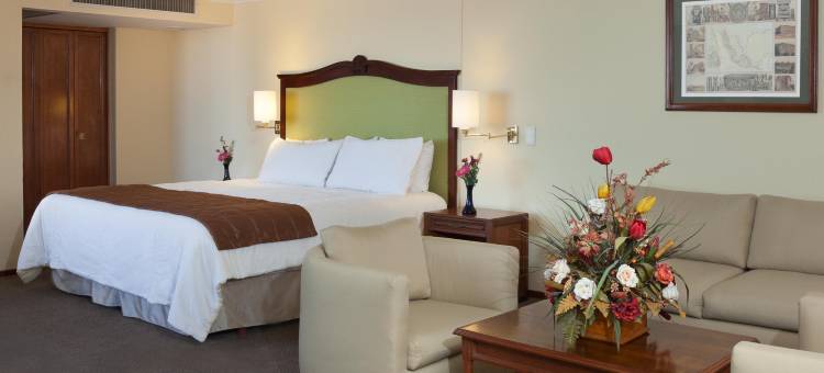 阿瓜斯卡连特斯弗朗西亚酒店(Hotel Francia Aguascalientes)图片