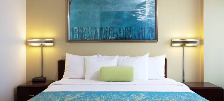 洛杉矶国际机场/曼哈顿海滩万豪SpringHill酒店(SpringHill Suites Los Angeles LAX/Manhattan Beach)图片