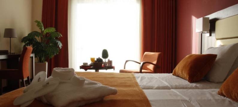 比卡纽温泉 SPA 和皇宫酒店(Palace Hotel & Spa Termas do Bicanho)图片