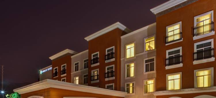 巴伦西亚希尔顿安泊酒店(Embassy Suites by Hilton Valencia)图片