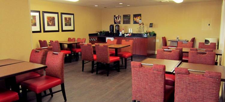 美国长住酒店套房-坦帕-机场-北韦斯特肖大道(Extended Stay America Suites - Tampa - Airport - N Westshore Blvd)图片