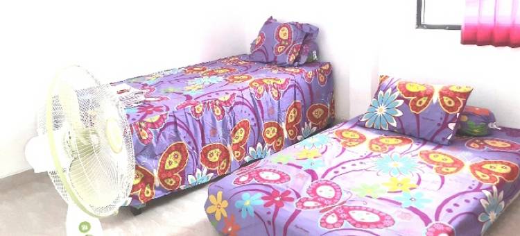 阿尔米拉家庭旅馆(Almira Homestay)图片
