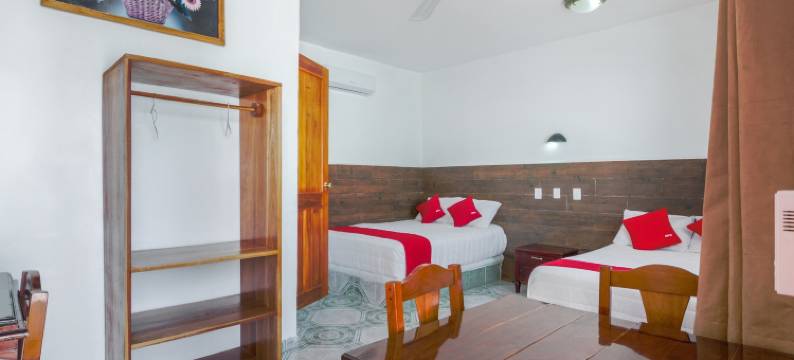 OYO 帕尔马皇家酒店(OYO Hotel Palma Real)图片