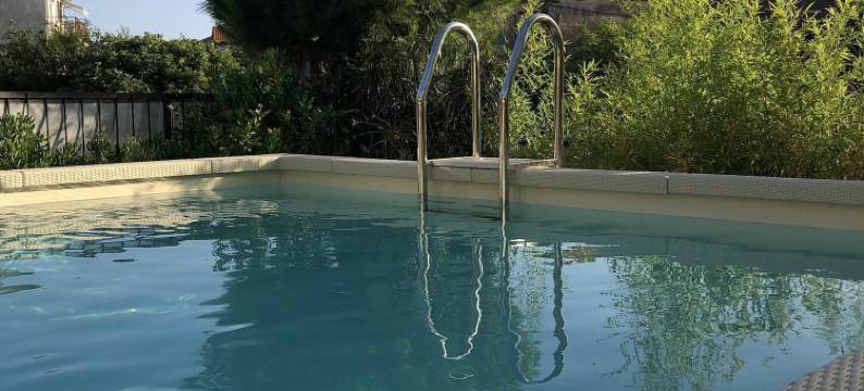 斑马(Zebra Hotel)图片