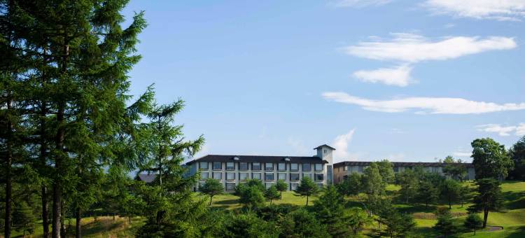 嬬恋王子酒店(Tsumagoi Prince Hotel)图片
