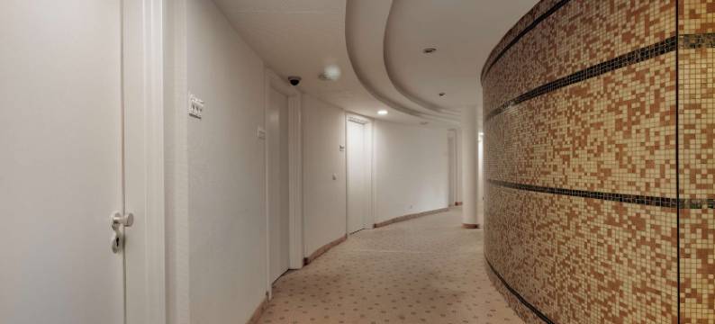 柏林多米希尔酒店-郁锦香(Hotel Domicil Berlin by Golden Tulip)图片