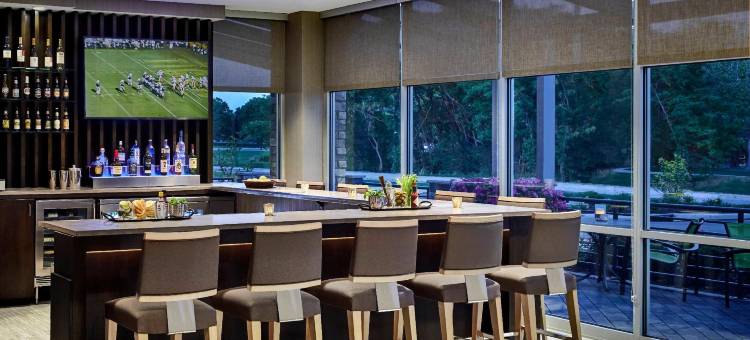 坦帕阳光海岸帕克威万豪SpringHill Suites酒店(SpringHill Suites Tampa Suncoast Parkway)图片