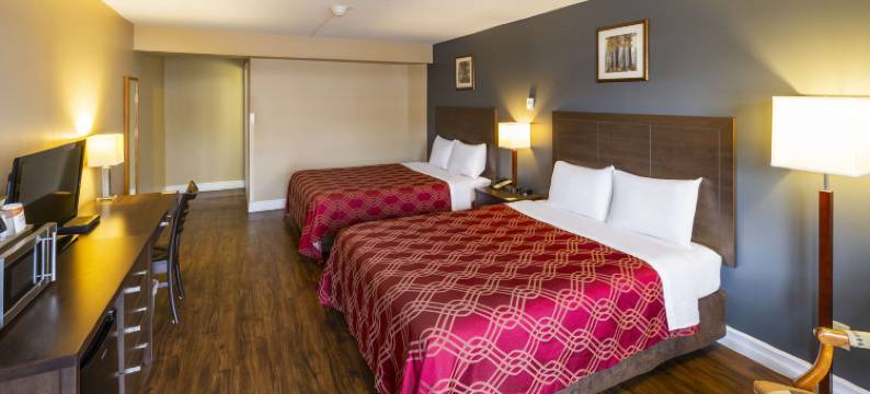 米罗米奇伊克诺旅馆(Econo Lodge Miramichi)图片