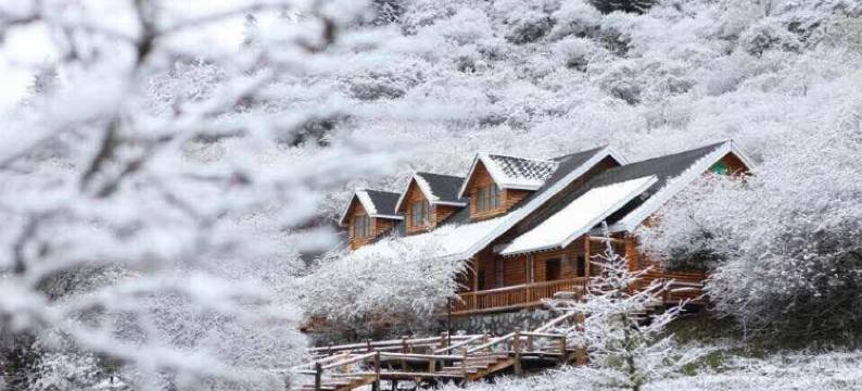 平武夺博印象客栈图片