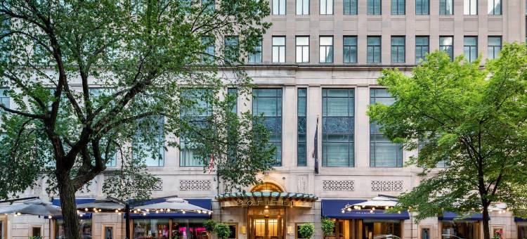 华盛顿特区拉法叶广场索菲特酒店(Sofitel Lafayette Square Washington DC)图片