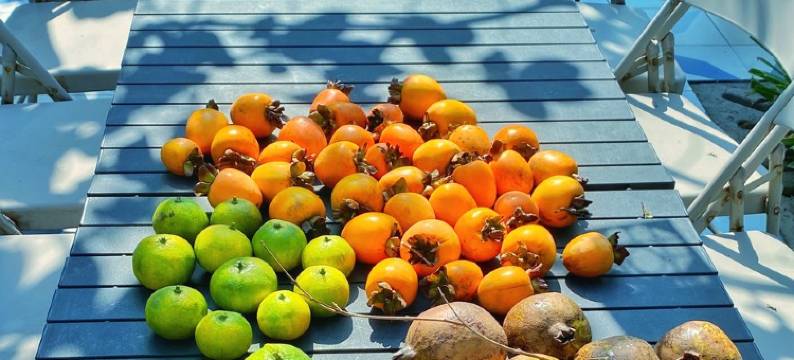 诸暨巴巴坞民宿图片