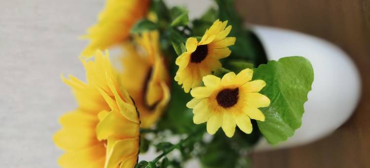 银川波斯古娜民宿(光耀新世界商务中心敬德夜市店)图片