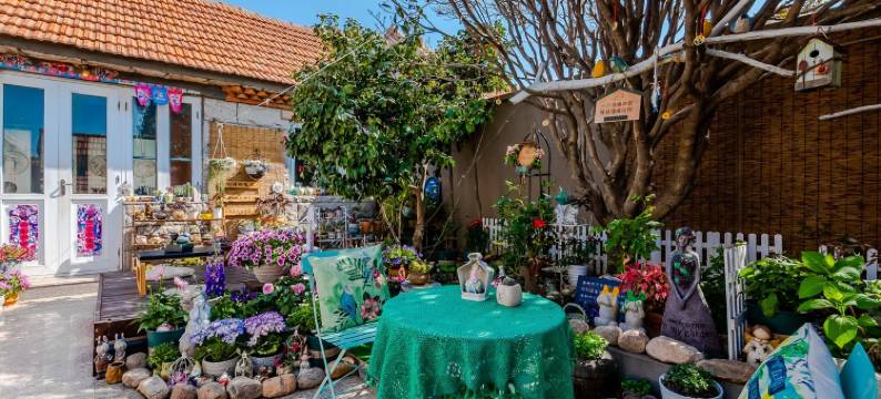 小婷的暖居特色民宿(滨河路分店)图片