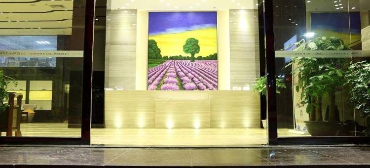 麗枫酒店(惠州龙门店)图片