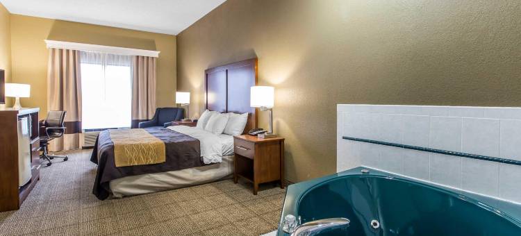 桃树角落舒适套房酒店(Comfort Inn & Suites Peachtree Corners)图片