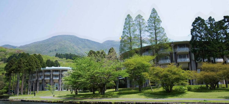 箱根芦之湖皇家王子大饭店(The Prince Hakone Lake Ashinoko)图片