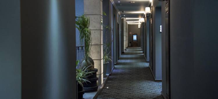 索卡洛中心酒店(Hotel Zocalo Central)图片