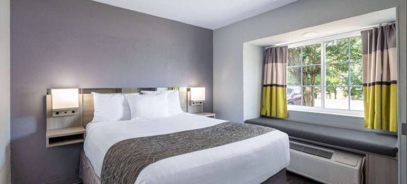 邓肯-斯帕坦堡麦客达套房酒店(Microtel Inn & Suites by Wyndham Duncan/Spartanburg)图片