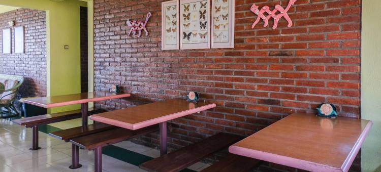红多兹伊斯兰酒店-近科彭树顶探险园(RedDoorz Syariah Near Kopeng Treetop Adventure)图片