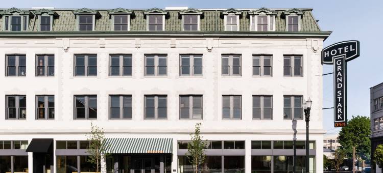 星大酒店(Hotel Grand Stark)图片