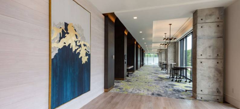 夏洛特南园凯悦尚萃酒店(Hyatt Centric Charlotte/Southpark)图片