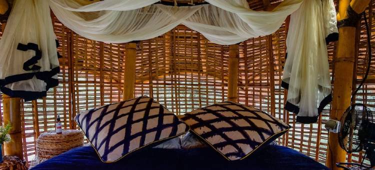 萤火虫生态旅馆(Firefly Eco Lodge)图片