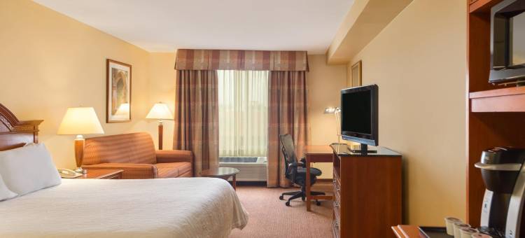 迈克艾伦机场希尔顿花园酒店(Hilton Garden Inn McAllen Airport)图片