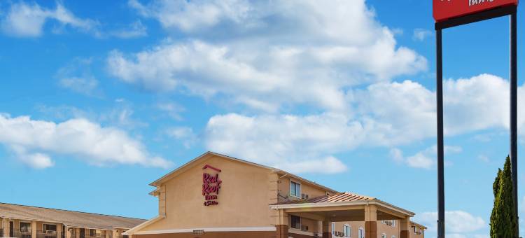登顿红顶套房酒店(Red Roof Inn & Suites Denton)图片