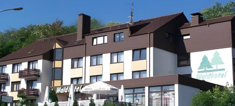 艾森伯格瓦尔德酒店(Waldhotel Eisenberg)图片