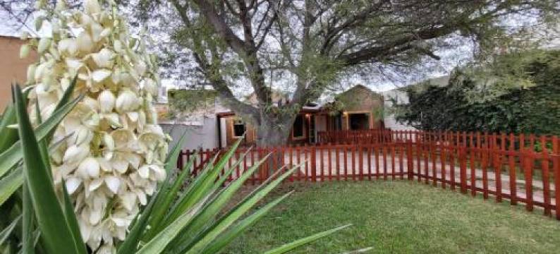 El Patio del Aromo图片