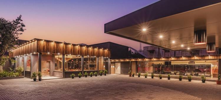 Ginger Bharuch图片