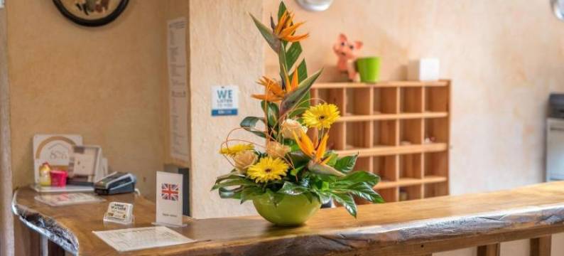 平原客栈(Logis Auberge de La Plaine)图片