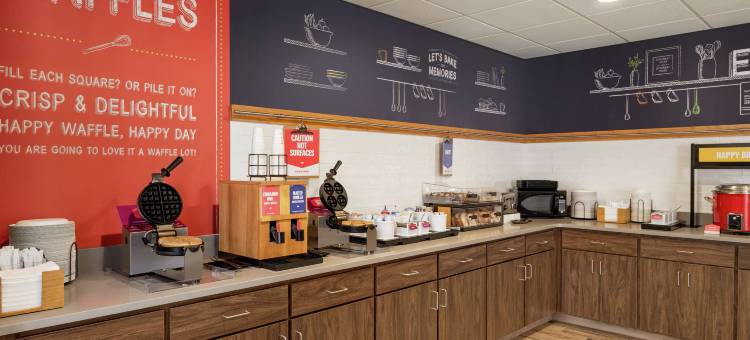 斯普林菲尔德欢朋套房酒店(Hampton Inn & Suites Springfield)图片