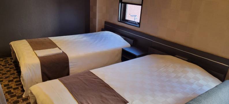 刈谷Access Inn酒店(Access Inn Kariya)图片