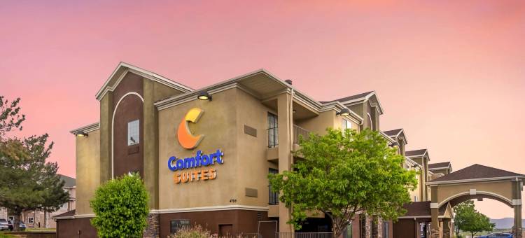 舒适套房酒店(Comfort Suites)图片