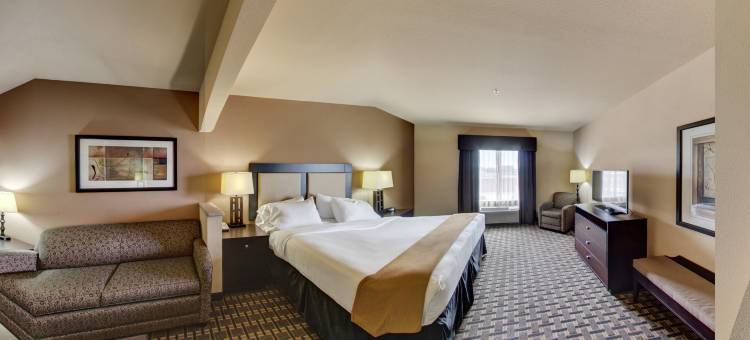 智选假日套房酒店帕里斯by IHG(Holiday Inn Express & Suites Paris)图片