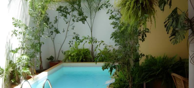 庭院公寓(Apartamentos El Patio)图片