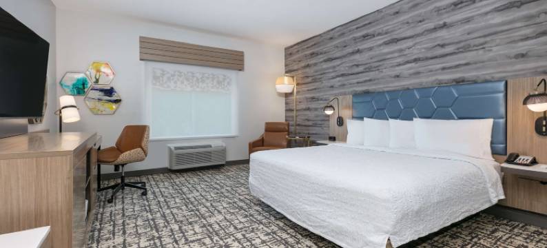 谢南多厄伍德兰希尔顿欢朋酒店(Hampton Inn & Suites by Hilton Shenandoah the Woodlands)图片