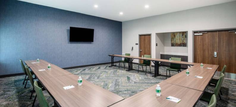 查塔努加市中心/南部拉昆塔温德姆酒店及套房(La Quinta Inn & Suites by Wyndham Chattanooga Downtown/South)图片