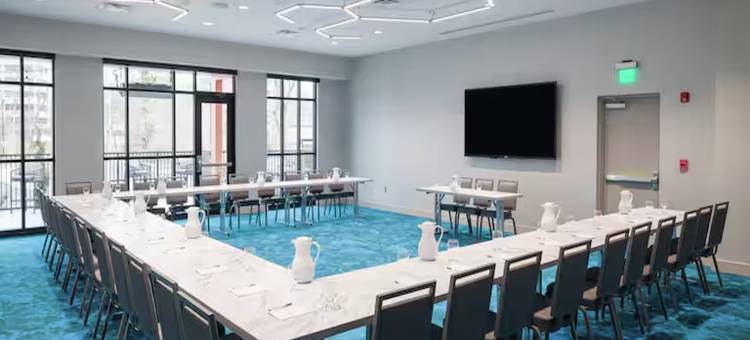希尔顿花园酒店奥斯汀中心(Hilton Garden Inn Austin Central)图片