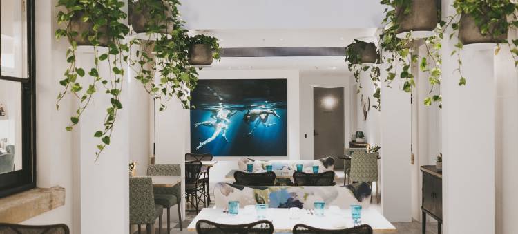 斯派塞波茨波音特酒店(Spicers Potts Point)图片