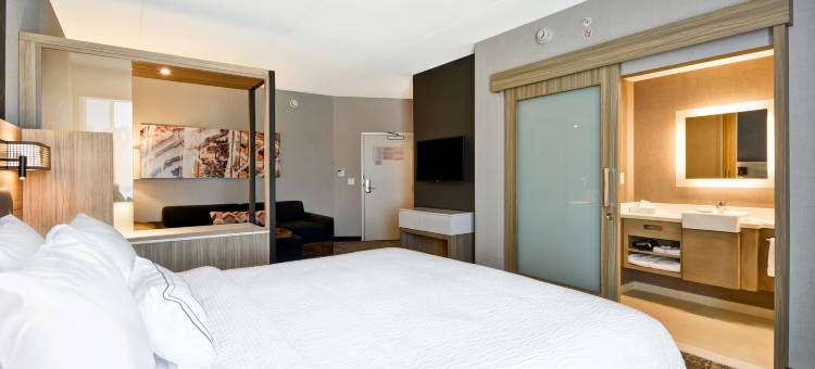 辛辛那提布鲁艾施SpringHill Suites酒店(SpringHill Suites Cincinnati Blue Ash)图片