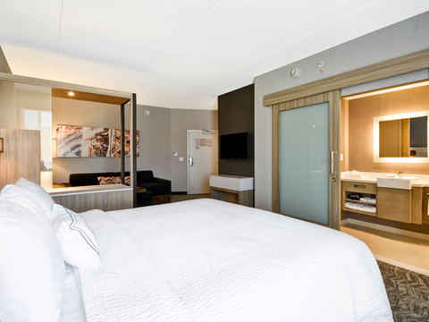 辛辛那提布鲁艾施SpringHill Suites酒店