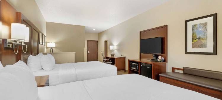 舒适套房酒店(Comfort Suites)图片